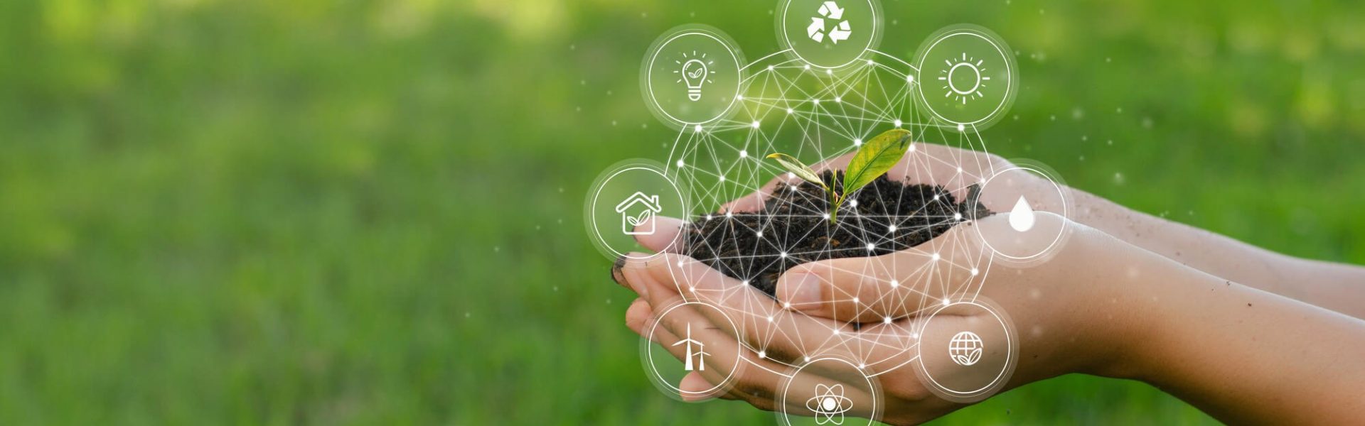 El análisis real del ciclo de vida y la huella ambiental de un jabón