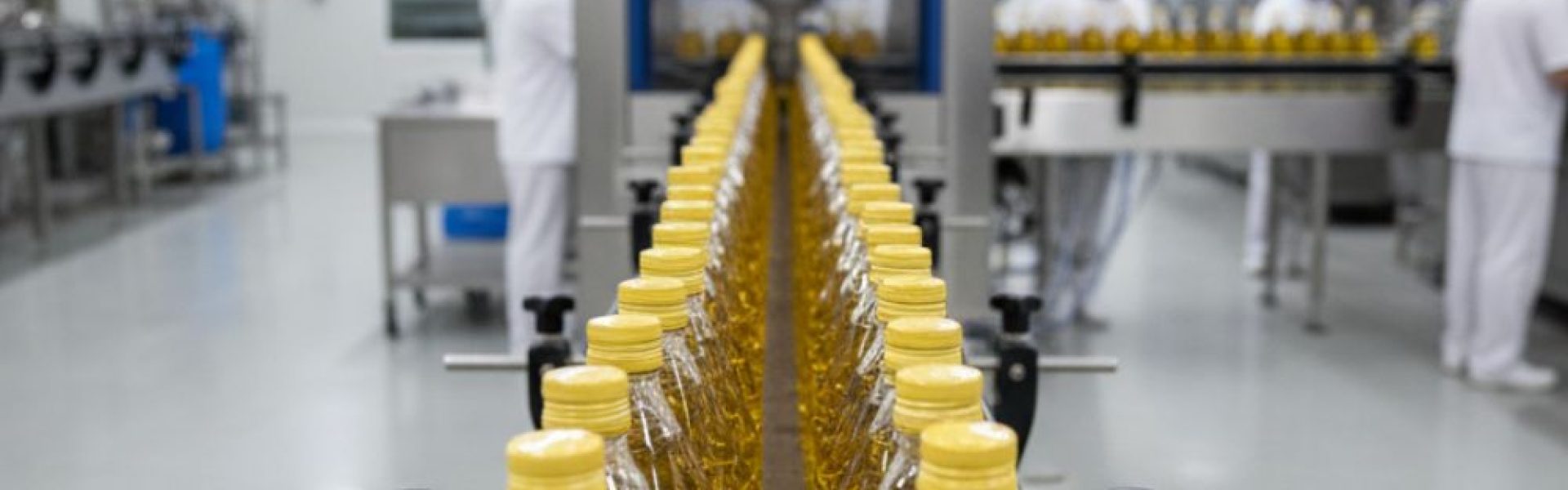 Innovación en procesos de producción de aceites industriales